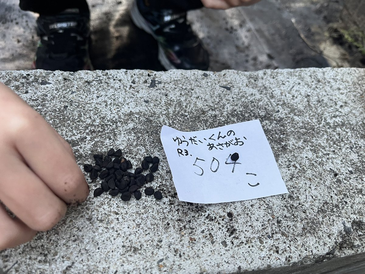 ゆうママ🎗 (@yuumama_4sons) / X