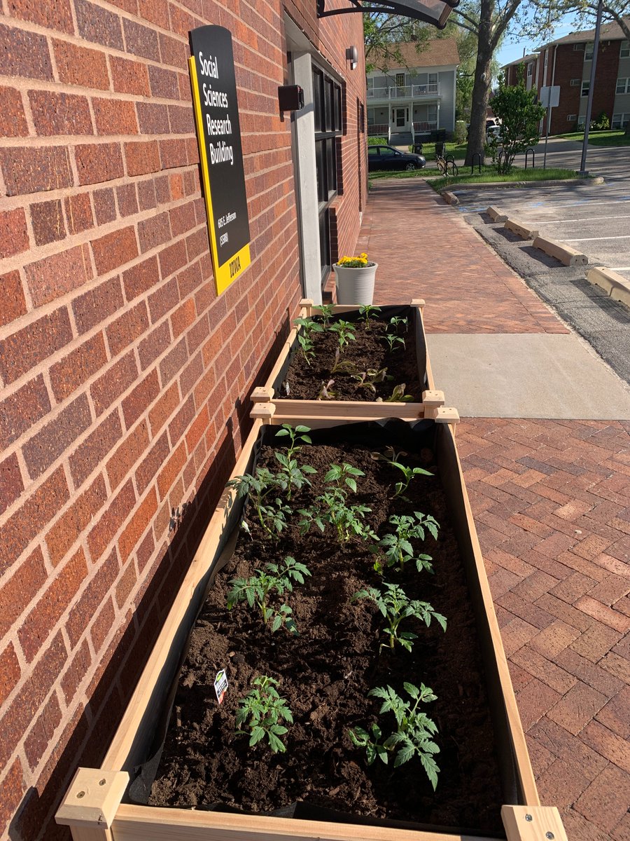 Warmer days are here, which means it's the perfect time to plant a CSSI garden! 🌱
Thank you to Dragana Petic, our office manager, for securing the liveWELL wellness grant from the university's Human Resources that made this possible!