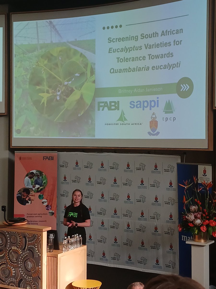 Ms Brittney-Aidan Jamieson gives a speed talk on the development of an  effective screening protocol for Quambalaria eucalypti. 🌿
#TPCP2025 #TreeHealth #Forestry