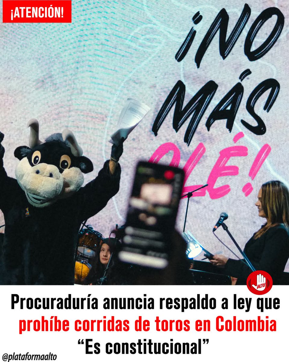 Catherine Morales Buitrago tweet media