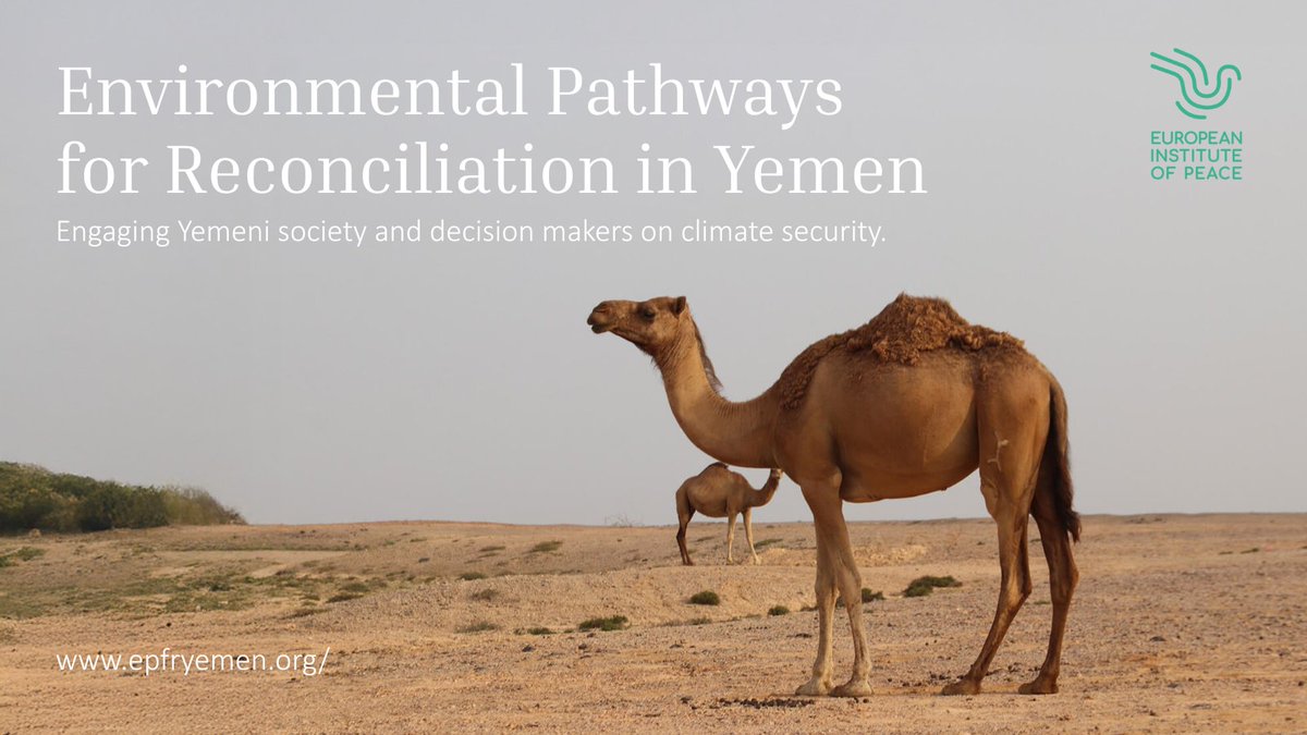 📣The website for our Environmental Pathways for Reconciliation Yemen project is now live! Discover how the European Institute of Peace supports sustainable peace in Yemen by engaging local and national actors in environmental dialogue ➡️epfryemen.org