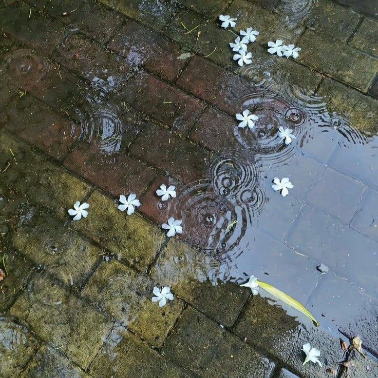 gloomy weather.