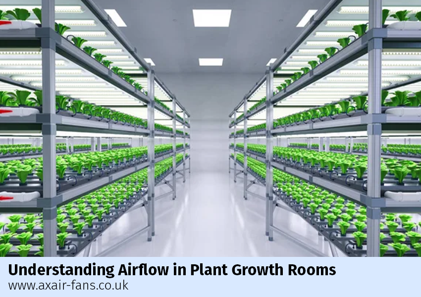 Did you know that adequate ventilation in plant growth facilities is essential for regulating temperature, humidity, and air quality? Active ventilation is critical for healthy plant growth and disease prevention.

Learn more:
rb.gy/pwjj8f

#AxairFans #IndustrialFans