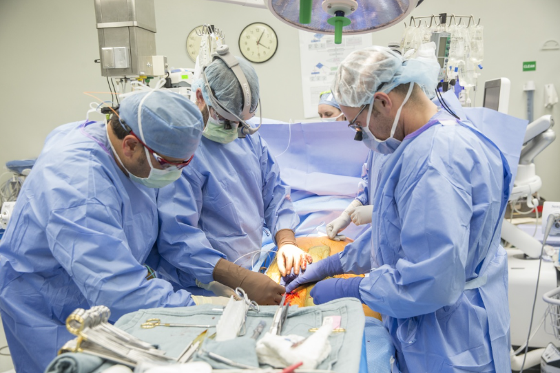 SafeguardsConsulting (@safeguardsc) on Twitter photo We are proud to congratulate our <a href="/VUMCDiscoveries/">Vanderbilt University Medical Center</a> friends for setting the new world record with 174 heart transplants in 2024!
Vanderbilt Transplant Center sets world record for heart transplants in 2024 - VUMC News
#HeartTransplant #MedicalInnovation #Vanderbilt We are proud to congratulate our <a href="/VUMCDiscoveries/">Vanderbilt University Medical Center</a> friends for setting the new world record with 174 heart transplants in 2024!
Vanderbilt Transplant Center sets world record for heart transplants in 2024 - VUMC News
#HeartTransplant #MedicalInnovation #Vanderbilt