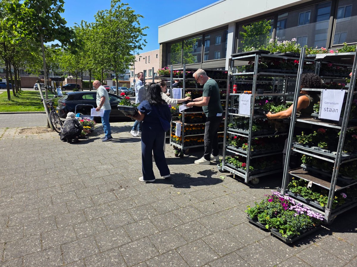 🌿🌸🪴🌼☘️🌺 Plantjesdag in Lombardijen: een bloeiend succes!Ook dit jaar weer een kleurrijk feest in de wijk! Huurders van Havensteder konden zich aanmelden bij Huurdersplatform Lombardijen (HPL) aan de Pirandellostraat om gratis plantjes en potgrond op te halen.#Havensteder