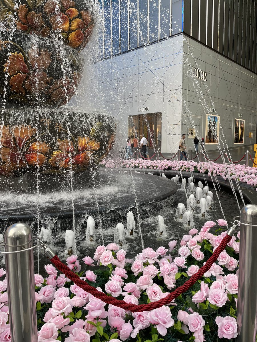 capriesed's tweet image. pov: capriesed camera roll 😆