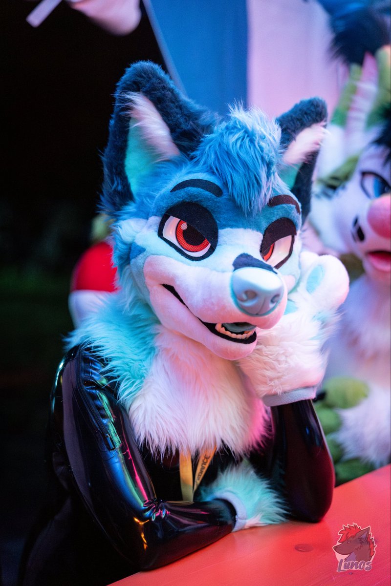 shiny thoughts :3

📸 <a href="/LunosWolf/">Lunos</a> 
✂️ <a href="/AlphaDogsStudio/">Alpha Dogs</a> 

#latexfur #rubbefur