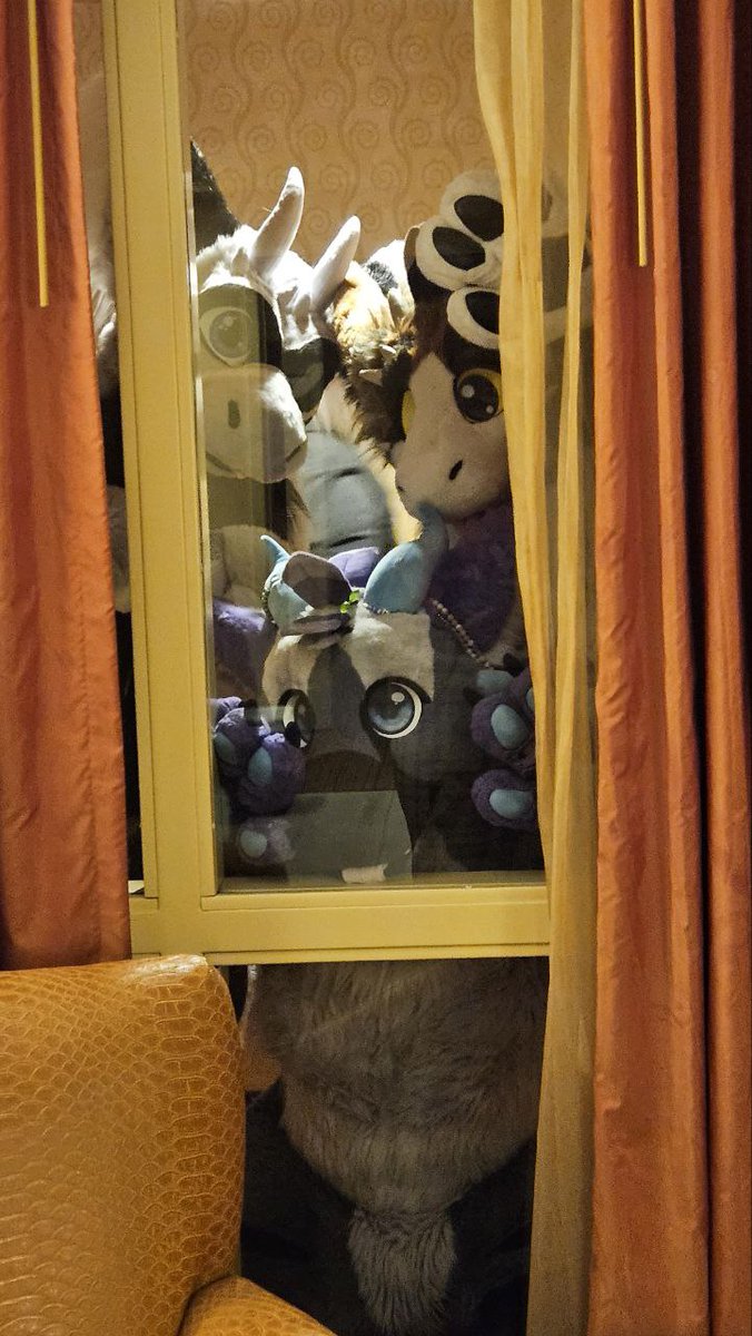 Dust the Dutchie ➡️ 🏠 (@dustdutchie) on Twitter photo Hi hello can we come in? Do u have water in ur room? Or a LiquidIV or a fan mebbe? 👁️👄👁️
↗️<a href="/MonoyashaDvC/">Monoyasha GOH @Furry Siesta</a>
↖️<a href="/fluff_gizmo/">Gizmo the angel dragon</a>
⬇️ Me!
📷<a href="/CaptDorkSlayer/">Dorkie | Night | Runa</a> (I believe) Hi hello can we come in? Do u have water in ur room? Or a LiquidIV or a fan mebbe? 👁️👄👁️
↗️<a href="/MonoyashaDvC/">Monoyasha GOH @Furry Siesta</a>
↖️<a href="/fluff_gizmo/">Gizmo the angel dragon</a>
⬇️ Me!
📷<a href="/CaptDorkSlayer/">Dorkie | Night | Runa</a> (I believe)