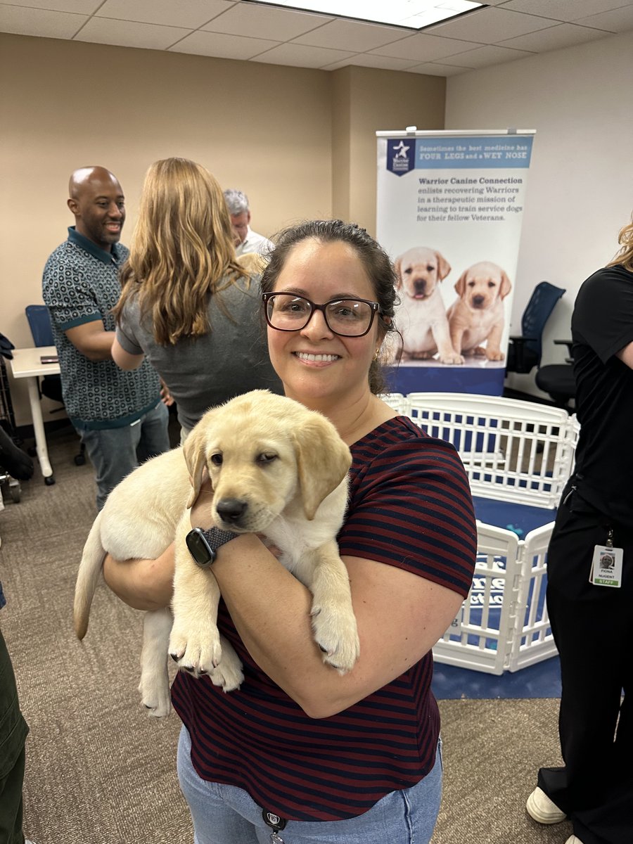 WWP DC (@wwp_dc) on Twitter photo It's not ALL policy and regulations here at the @WWP DC office — sometimes, there are puppies.
Huge thanks to <a href="/WarriorCanineCn/">Warrior Canine Connection</a> for bringing in these adorable pups and for all the work you do to help recovering Warriors reconnect with life, their families, their communities, and It's not ALL policy and regulations here at the @WWP DC office — sometimes, there are puppies.
Huge thanks to <a href="/WarriorCanineCn/">Warrior Canine Connection</a> for bringing in these adorable pups and for all the work you do to help recovering Warriors reconnect with life, their families, their communities, and