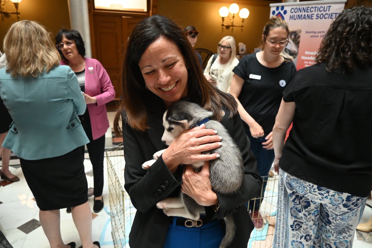 #HAPPENINGNOW: CT Puppy Day 

🐶 A special thanks to the CT Humane Society for their efforts in providing safe homes for pets across our state.

Learn more at cthumane.org