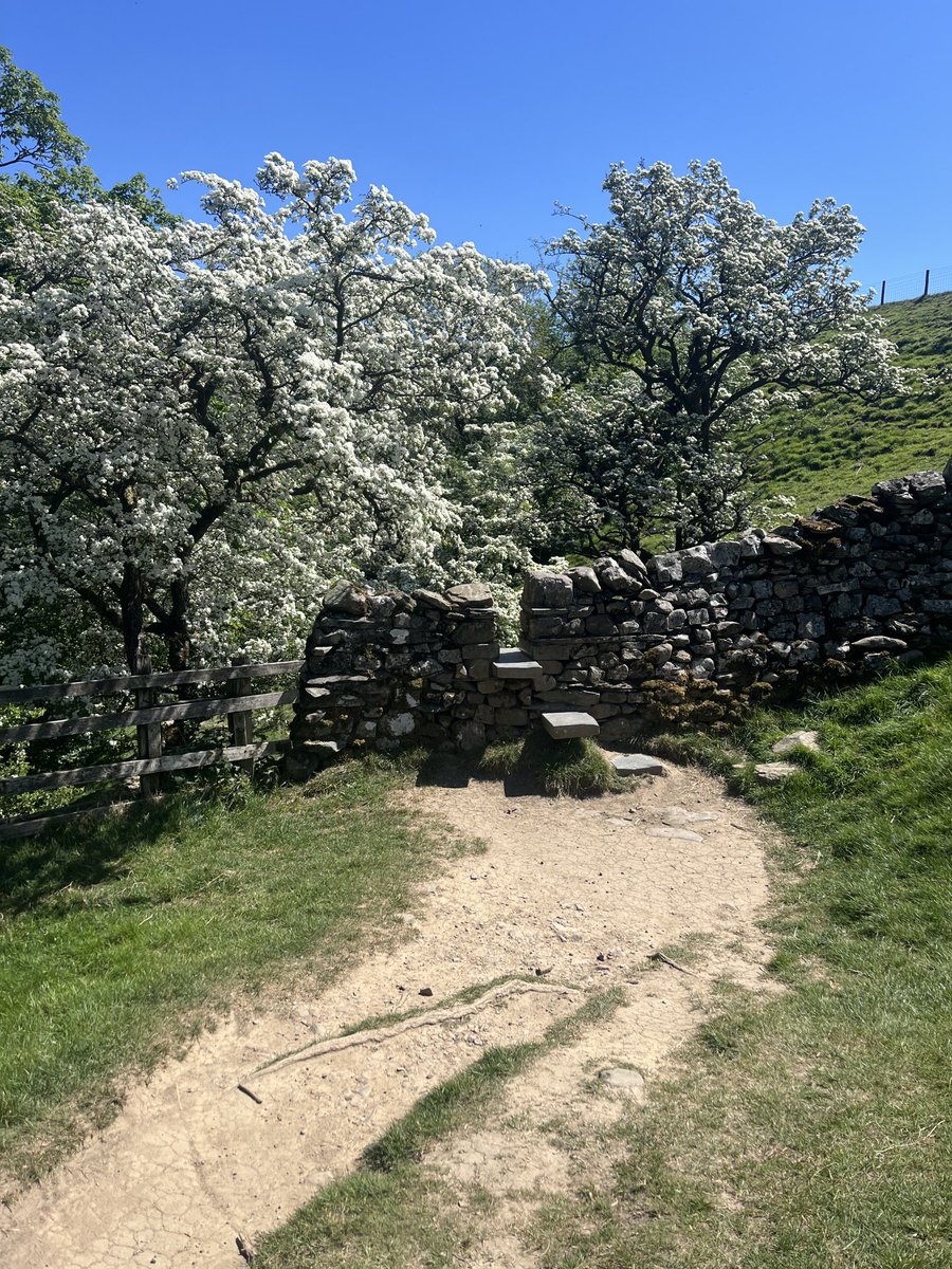 carl clayton (@carlclayton50) on Twitter photo <a href="/JohnGal_luvlife/">John Gallagher</a> <a href="/Martin_CullenPT/">Martin Cullen</a> Day 3 of Yorkshire Ramblings. Settle circular walk. Caves and waterfalls to come. <a href="/JohnGal_luvlife/">John Gallagher</a> <a href="/Martin_CullenPT/">Martin Cullen</a> Day 3 of Yorkshire Ramblings. Settle circular walk. Caves and waterfalls to come.