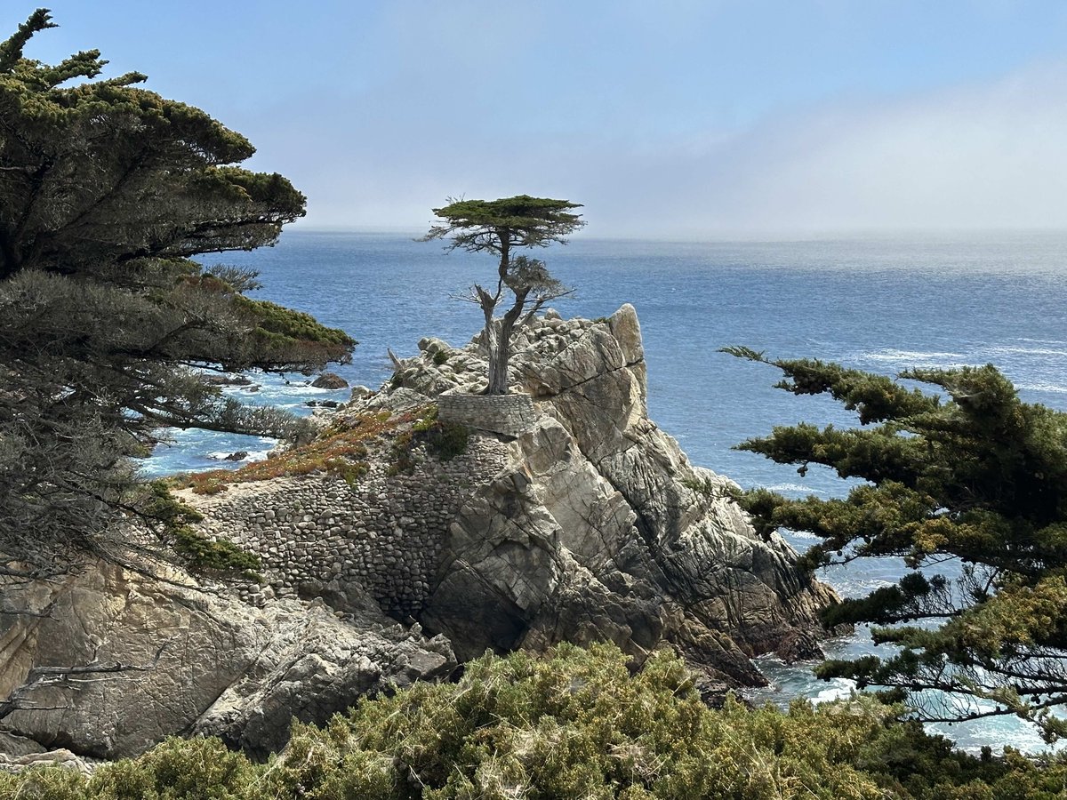 Jan Rutherford tweet media