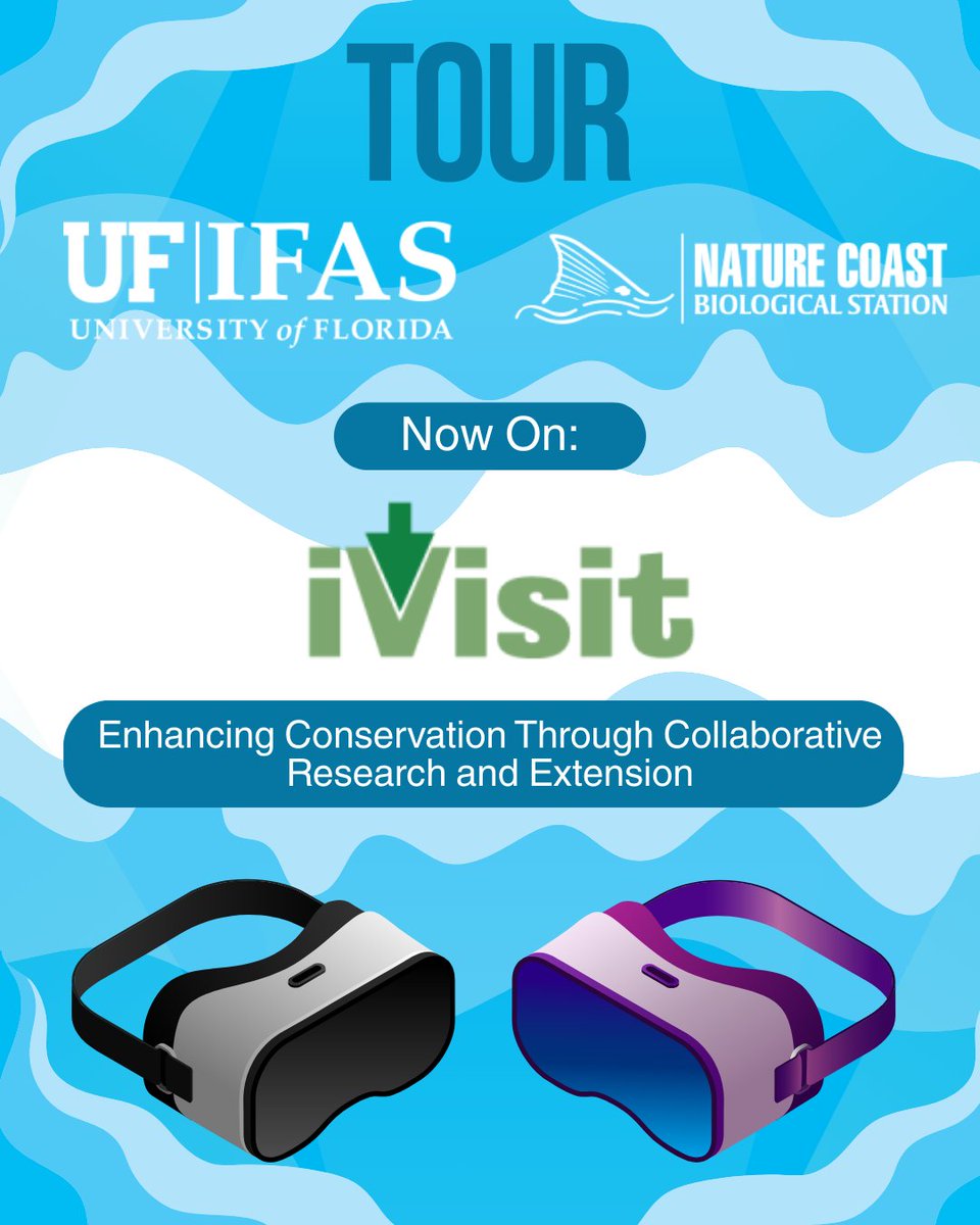 Streaming Science (@streaming_sci) on Twitter photo We’re thrilled to announce the newest session of VR Tours: the UF/IFAS Nature Coast Biological Station! 🐟🦀🐢 Now you can explore our labs, research vessels, and stunning coastal habitats from anywhere, no snorkel required. 🤿 Tap the link in bio to start your virtual journey! We’re thrilled to announce the newest session of VR Tours: the UF/IFAS Nature Coast Biological Station! 🐟🦀🐢 Now you can explore our labs, research vessels, and stunning coastal habitats from anywhere, no snorkel required. 🤿 Tap the link in bio to start your virtual journey!