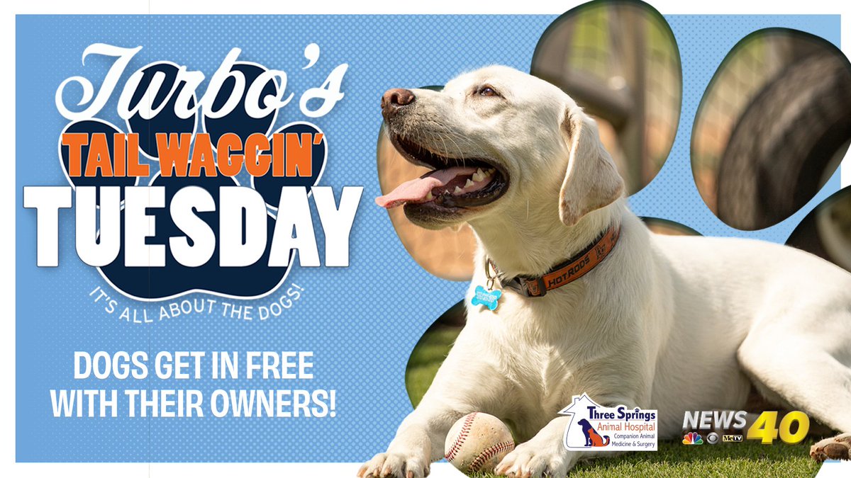 Who Let The Dogs Out 🐶🐾

⏰ 6:05 PM CT/Gates 5:00 PM CT 
🆚 Asheville Tourists (Astros Affiliate)
📍 Bowling Green Ballpark
🎟️: bit.ly/4iZFxa3
📺 atmilb.com/3EPmexF
📻 atmilb.com/3KAn9UT

#RevItUp | #MiLB