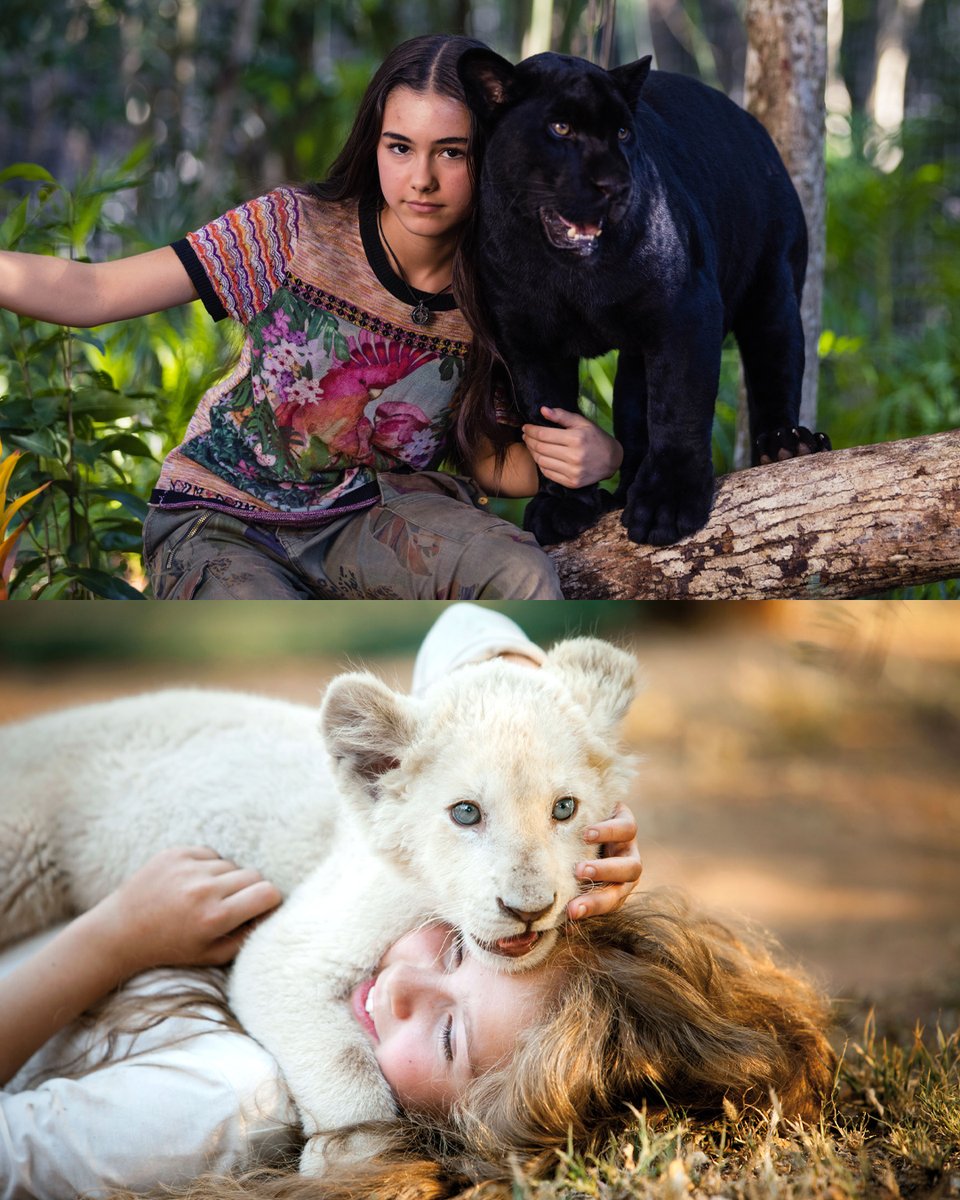 Grandir avec un fauve, c’est pas donné à tout le monde 🦁​🐆

Les films LE DERNIER JAGUAR et MIA ET LE LION BLANC sont dispo sur CINÉ+ OCS.