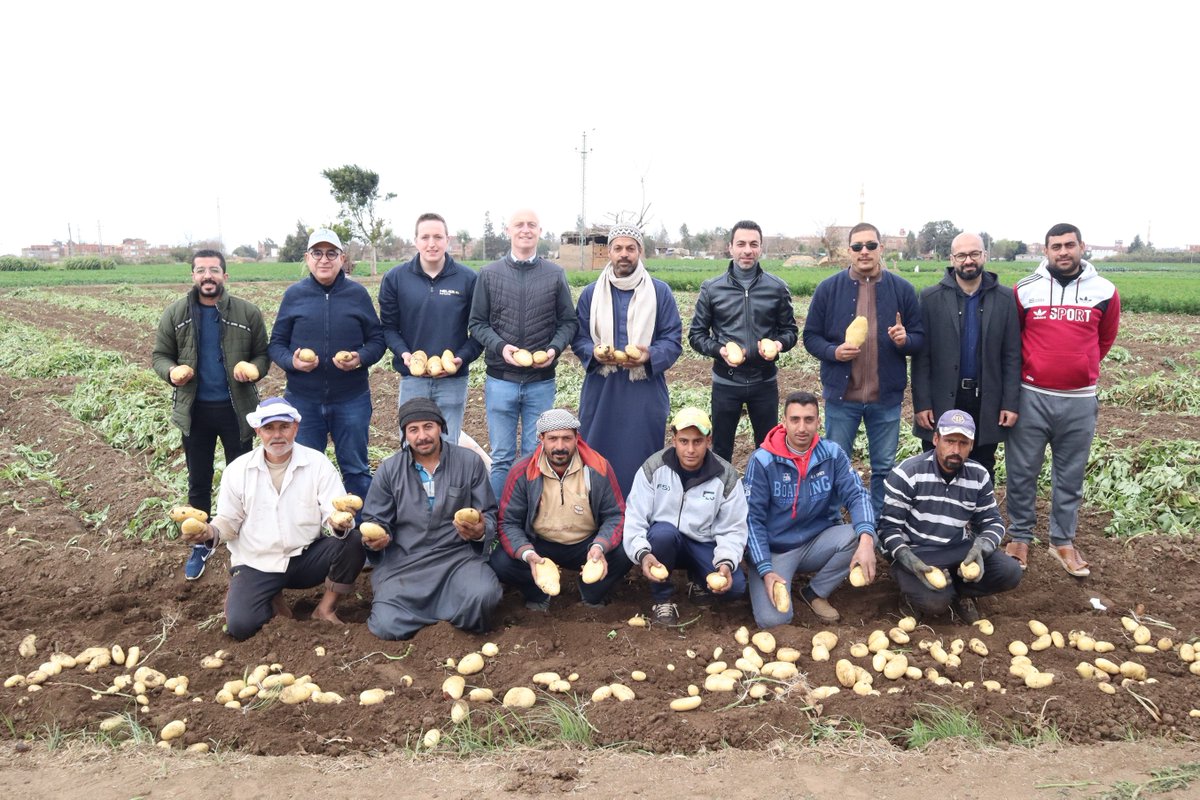 Sound gets around in Egypt! Domiatec Agro Group foresees a bright future for Sound in the Spunta-market:  meijerpotato.com/en/customer-ca… 

#meijerpotato #buildingonpotential #customercase #seedpotatoes #potatoes #soundgetsaround #robustness