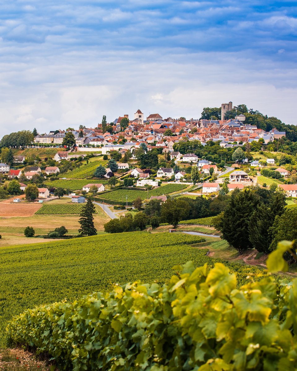Sancerre, baigné de lumière et entouré de vignes 🌞

Un village qui sent bon la pierre, le vin et les saisons… et qui donne envie de revenir. 🌿

#Sancerre #Cher #PlusBeauxVillagesDeFrance