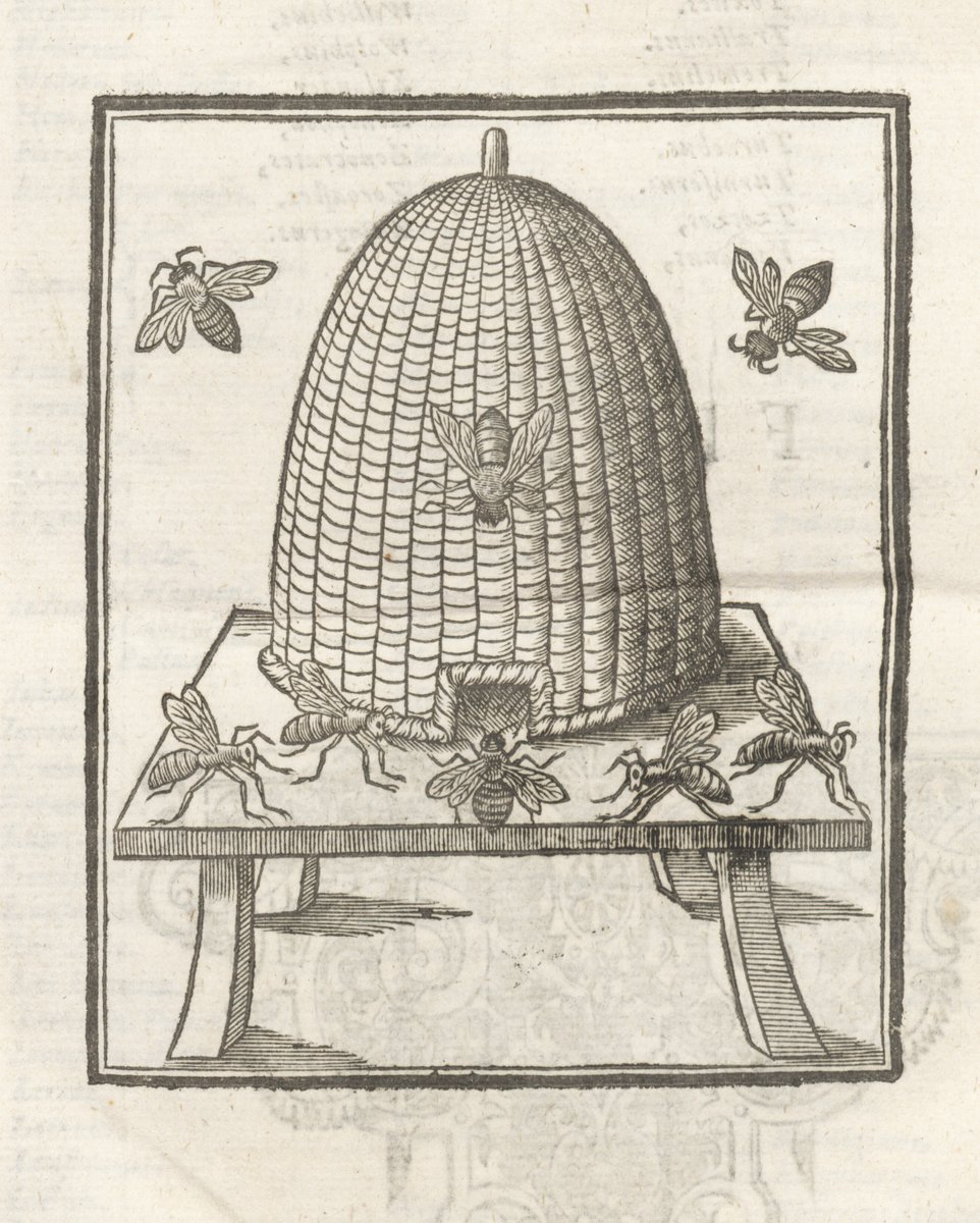 Chetham's Library (@chethamslibrary) on Twitter photo Today we remember the 22 lives lost in the Manchester Arena attack 8 years ago. We send our love and support to all affected by the terrible events that took place that day. Never forgotten ❤️🐝 Today we remember the 22 lives lost in the Manchester Arena attack 8 years ago. We send our love and support to all affected by the terrible events that took place that day. Never forgotten ❤️🐝