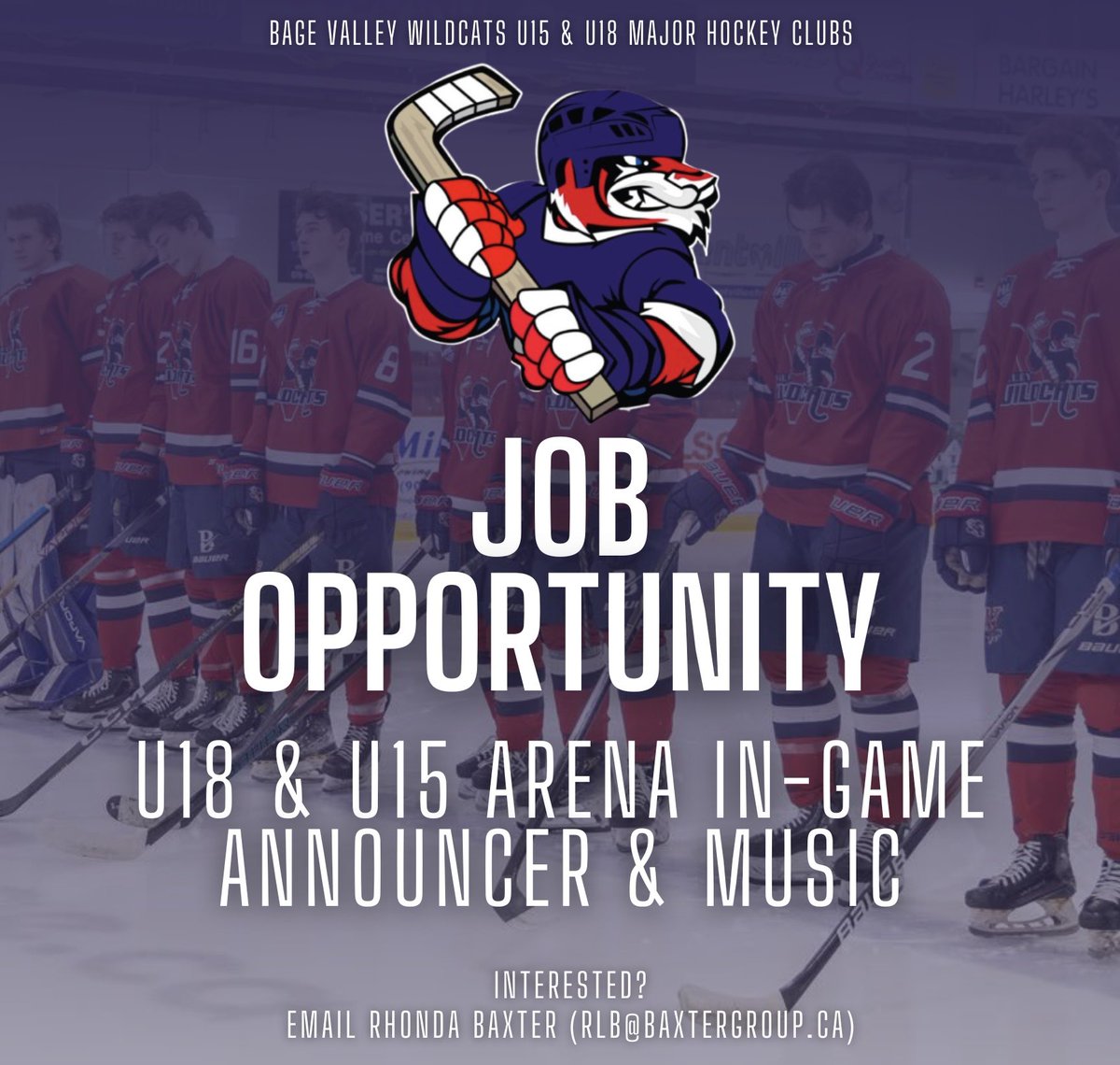 🎤 WE’RE HIRING!

The Bage Valley Wildcats are searching for an in-game arena announcer &amp; MC for both our U15 &amp; U18 teams this season.

LEARN MORE: valleywildcats.ca/were-hiring-wi…

If interested in this position, please contact Rhonda Baxter (RLB@BaxterGroup.ca)!