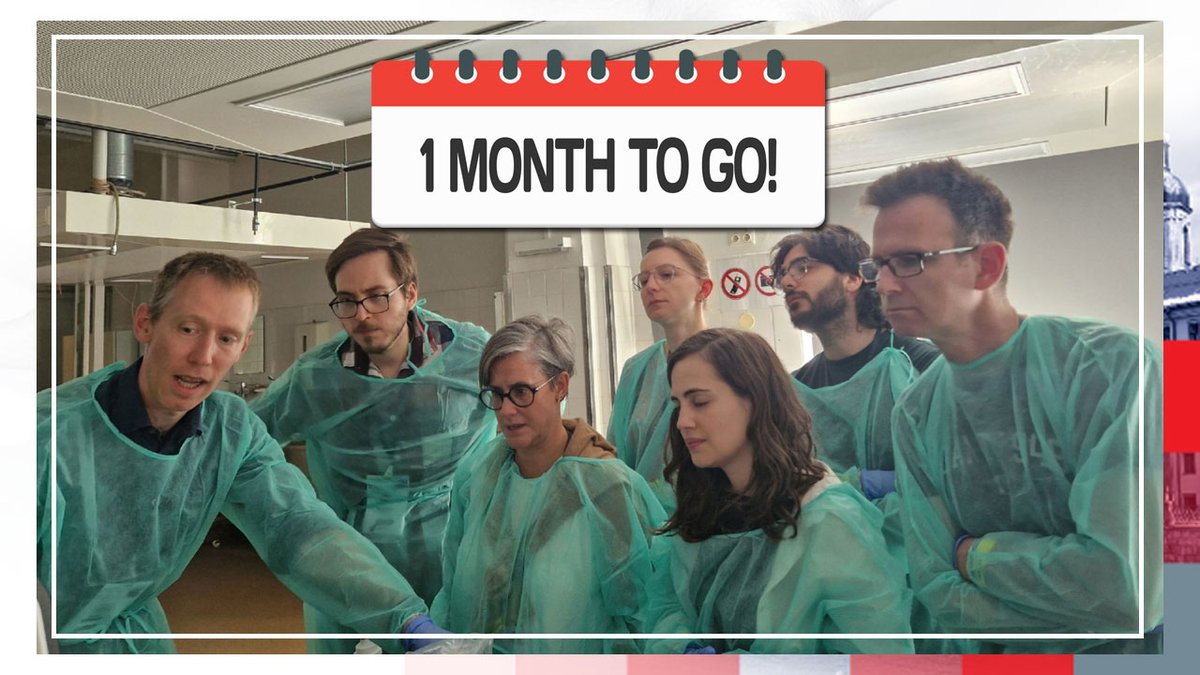 ESRA | European Society of Regional Anaesthesia (@esra_society) on Twitter photo 1 month to go before the 38th RA Cadaver Workshop in Innsbruck! ๐
#ESRACW2025
Very limited space only: esraeurope.org/meeting/38th-eโฆ
๐
13-14 June
๐ Improve your skills in RA & needling techniques
๐ 14 ESRA-DRA points
๐ฅ Top faculty from 9 countries ๐ฌ๐ง๐ช๐ธ๐ฉ๐ช๐ฌ๐ท๐ฆ๐น๐น๐ท๐ฎ๐ช๐ณ๐ด๐ธ๐ฎ 1 month to go before the 38th RA Cadaver Workshop in Innsbruck! ๐
#ESRACW2025
Very limited space only: esraeurope.org/meeting/38th-eโฆ
๐
13-14 June
๐ Improve your skills in RA & needling techniques
๐ 14 ESRA-DRA points
๐ฅ Top faculty from 9 countries ๐ฌ๐ง๐ช๐ธ๐ฉ๐ช๐ฌ๐ท๐ฆ๐น๐น๐ท๐ฎ๐ช๐ณ๐ด๐ธ๐ฎ