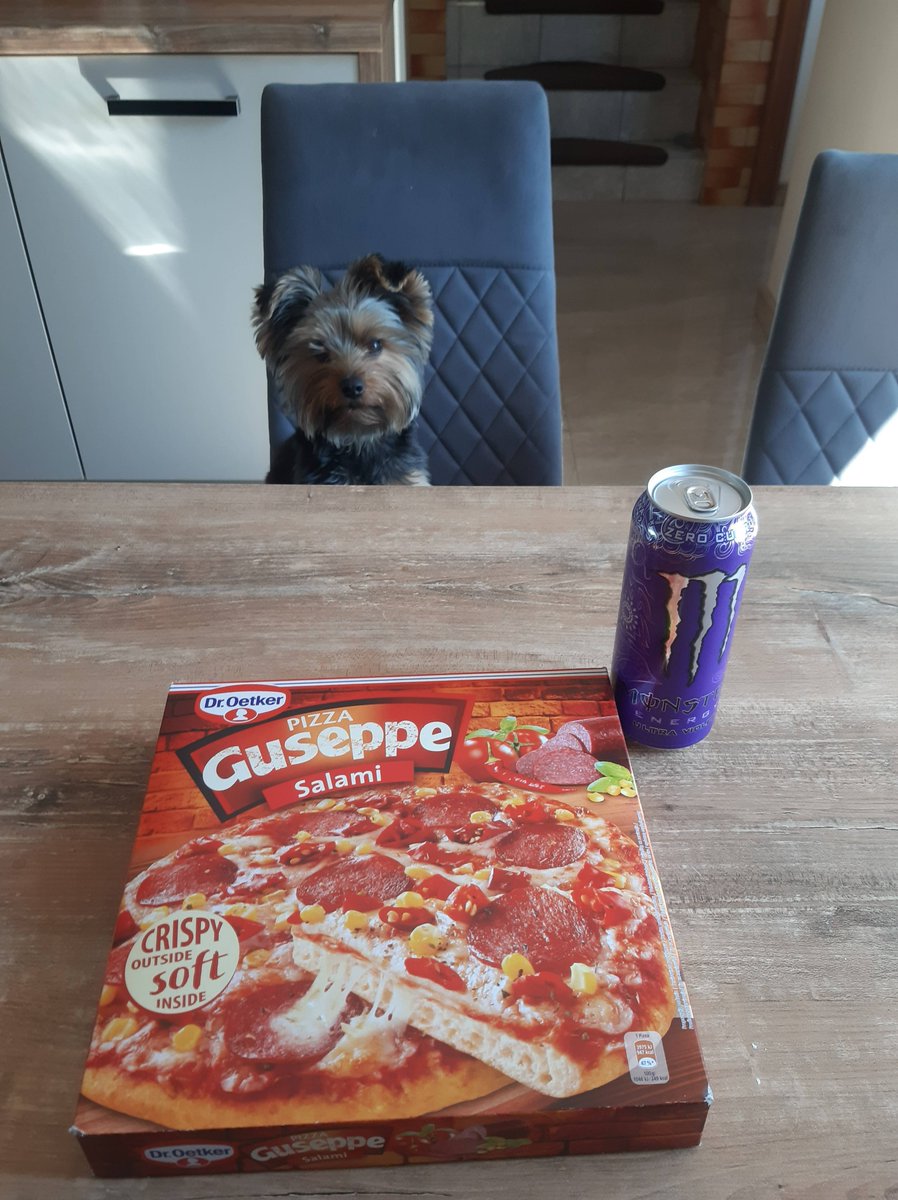 Taki mały piesek to wszystko zje