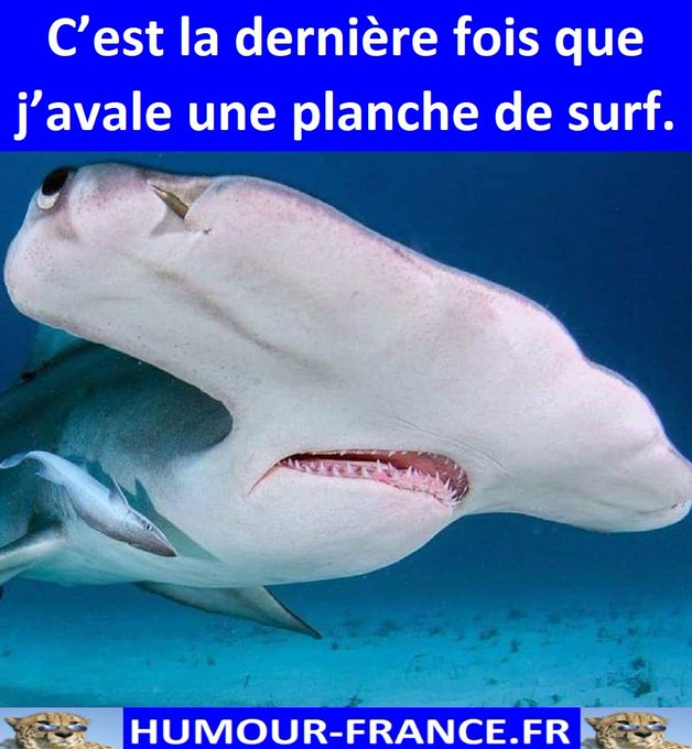 text alternatif