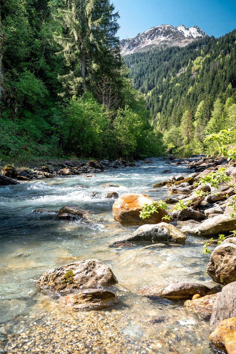 Le printemps au fil du Bonnant 💧
