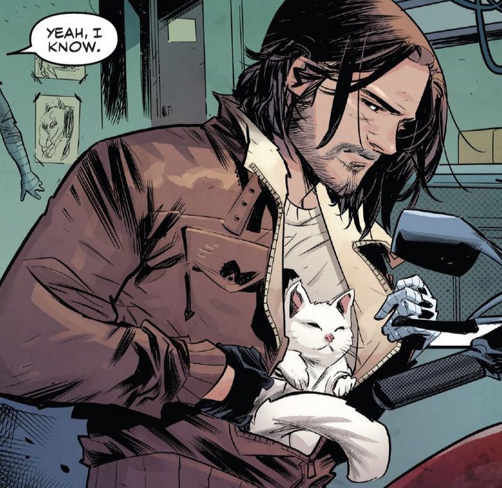 AALP1N3's tweet image. alpine barnes. 🐱 
bucky’s daughter.