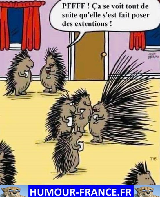 text alternatif