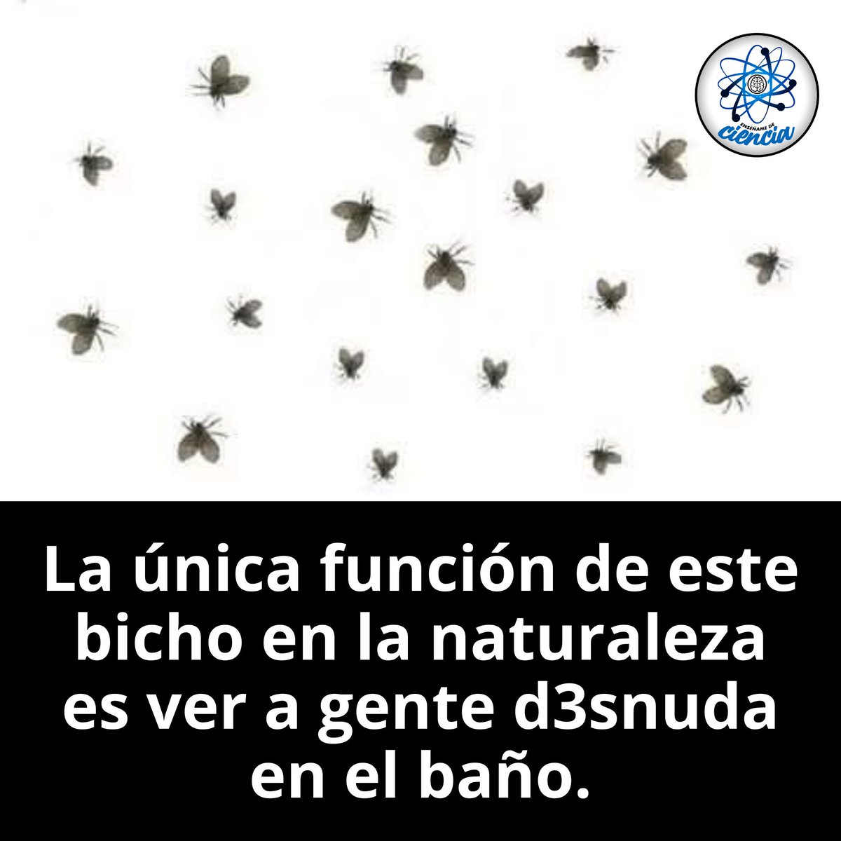 EnsedeCiencia's tweet photo. 🤭🤭 https://t.co/SKk6fLdnZk