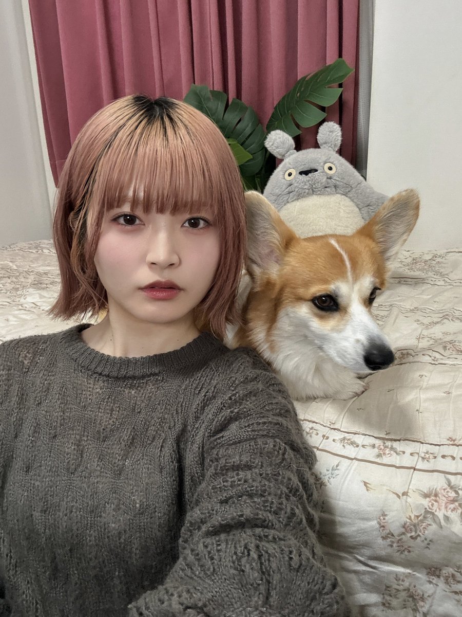 れいちょる (@reis1024) / Posts / X