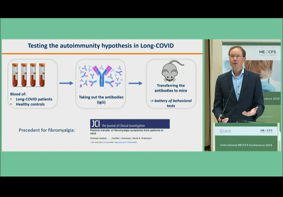 Jeroen den Dunnen (@drdendunnen) on Twitter photo I’m really impressed by the high level of research that was presented at the International ME/CFS Conference 2025 #mecfsconference, organized by the great <a href="/C_Scheibenbogen/">Carmen Scheibenbogen</a>: events.mecfs-research.org/en/events/conf…. I’ll mention a few (personal) highlights: 1/7 I’m really impressed by the high level of research that was presented at the International ME/CFS Conference 2025 #mecfsconference, organized by the great <a href="/C_Scheibenbogen/">Carmen Scheibenbogen</a>: events.mecfs-research.org/en/events/conf…. I’ll mention a few (personal) highlights: 1/7