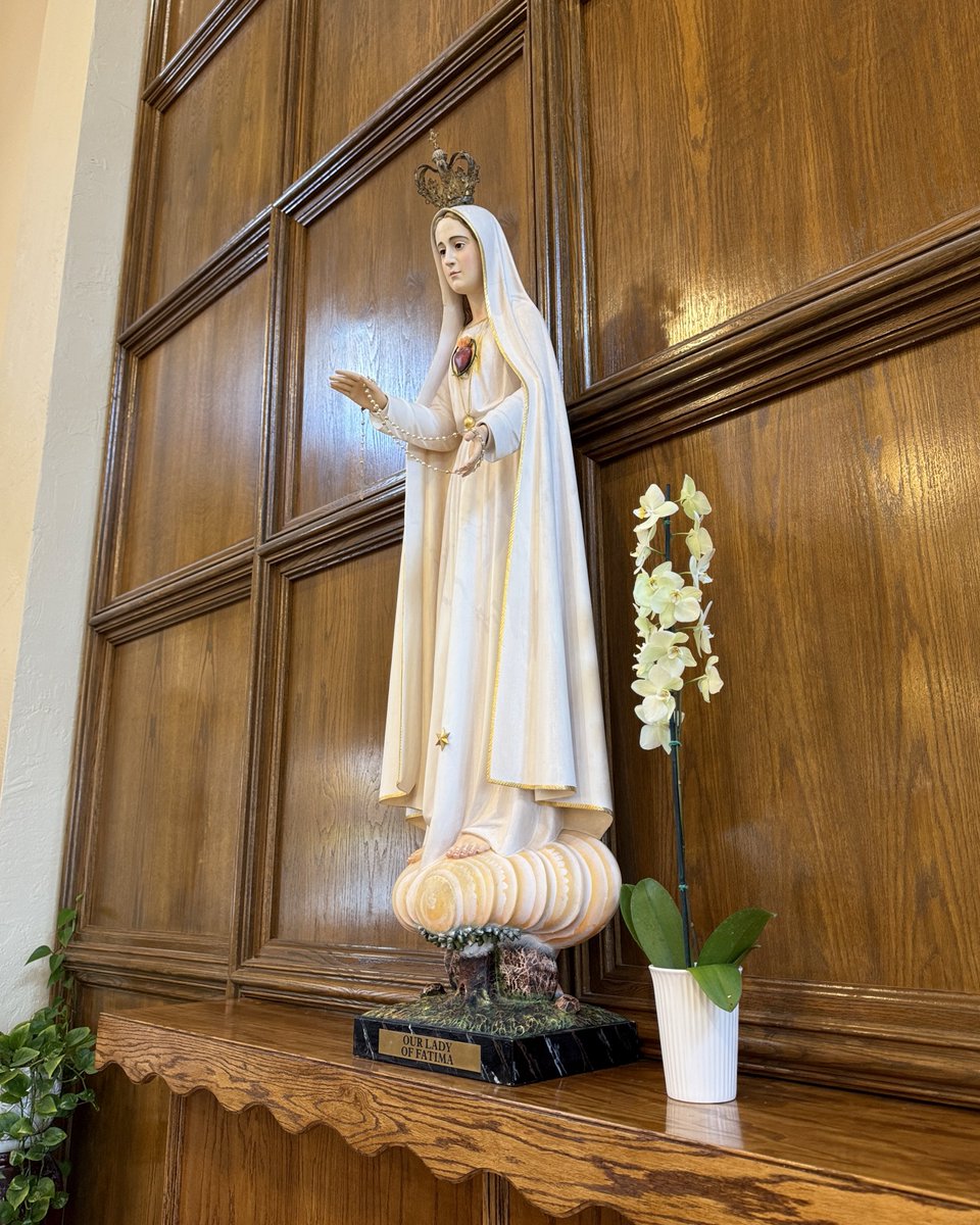 CatholicCassie's tweet image. If you see this I prayed for you here