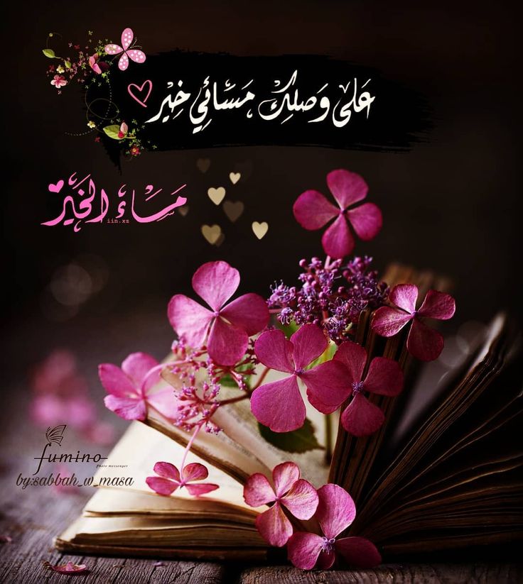 Y_O_U_S_1's tweet image. ✦ مساء الأمان والسكينة ✦
إذا أقبل المساء بلطفه، وسكنت الأنفاس بعد عناء النهار،
نرفع أيدينا ونقول:
"يا رب، اجعل لنا من كل ضيق مخرجاً،
وارزقنا طمأنينة لا تزول، وسعادة لا تنتهي."

مساؤكم طيب كقلوبكم،
ودعوة مُخبّأة تستجاب، وهمسة رضا تسكن الأرواح.

❀❥ مساء الخير ❥❀