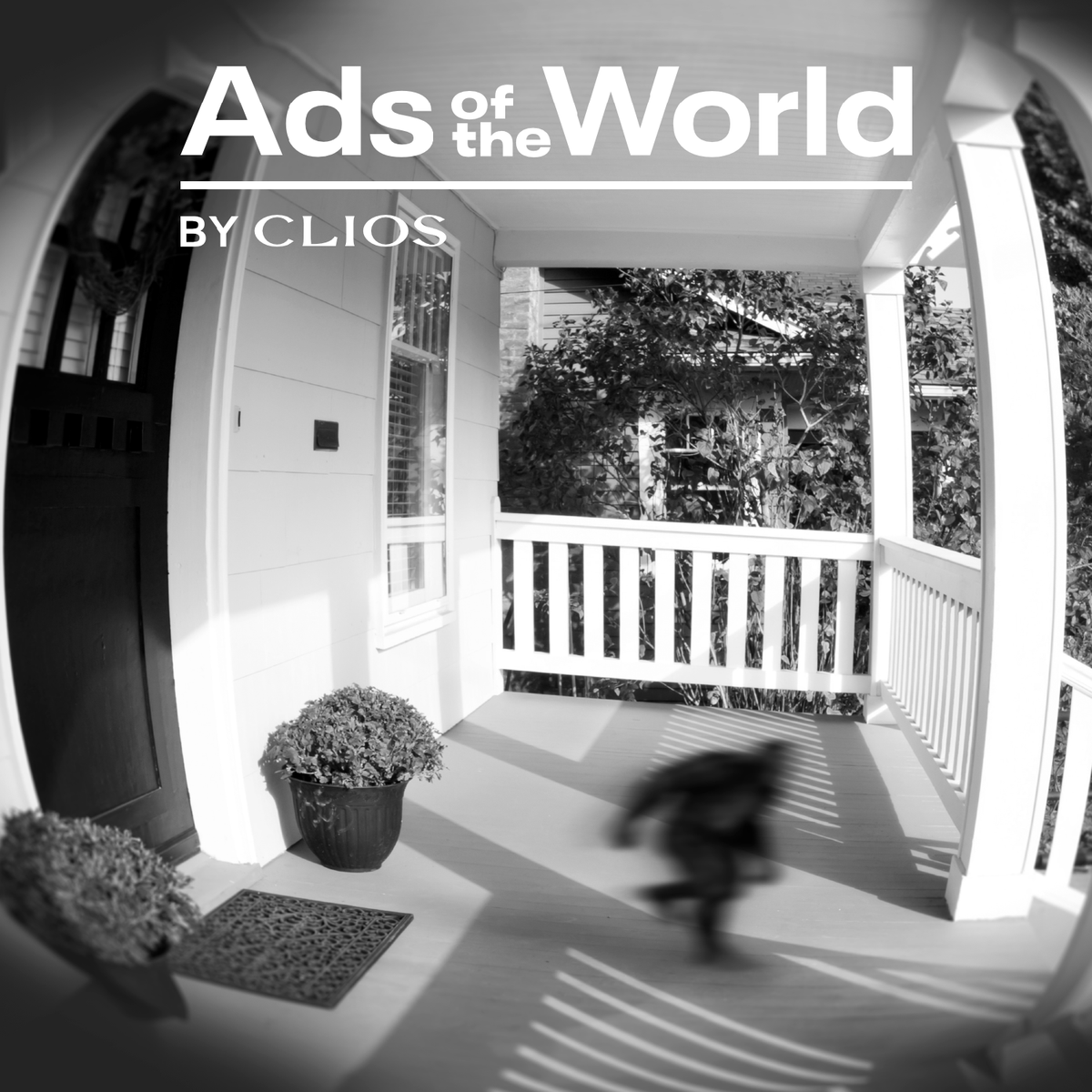 Vladimir Jones tweet media