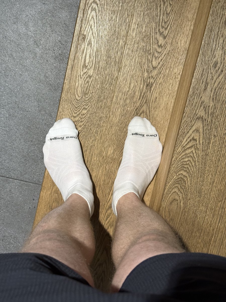 alex (@alwxtwi) on Twitter photo Several days ago I found /r/BuyItForLife and got excited about the socks from <a href="/DarnTough/">Darn Tough Vermont</a> that come with a lifetime warranty and get mentioned in EVERY thread about socks there.
A few days later, I'm wearing them to the gym and can't wait to determine their survival rate myself. Several days ago I found /r/BuyItForLife and got excited about the socks from <a href="/DarnTough/">Darn Tough Vermont</a> that come with a lifetime warranty and get mentioned in EVERY thread about socks there.
A few days later, I'm wearing them to the gym and can't wait to determine their survival rate myself.