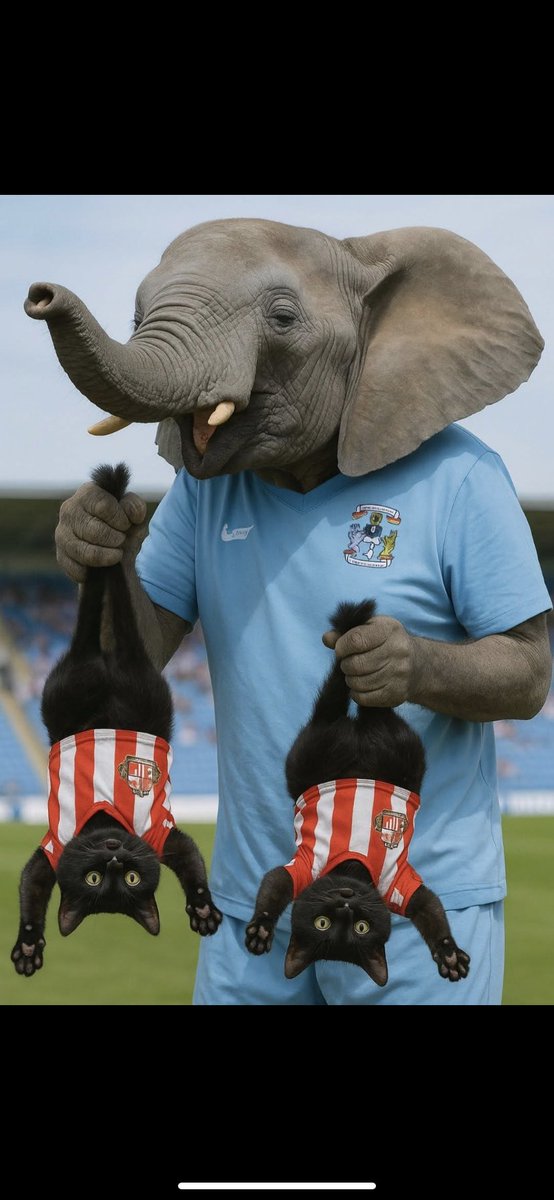 PUSB , we are on the way to Wembley