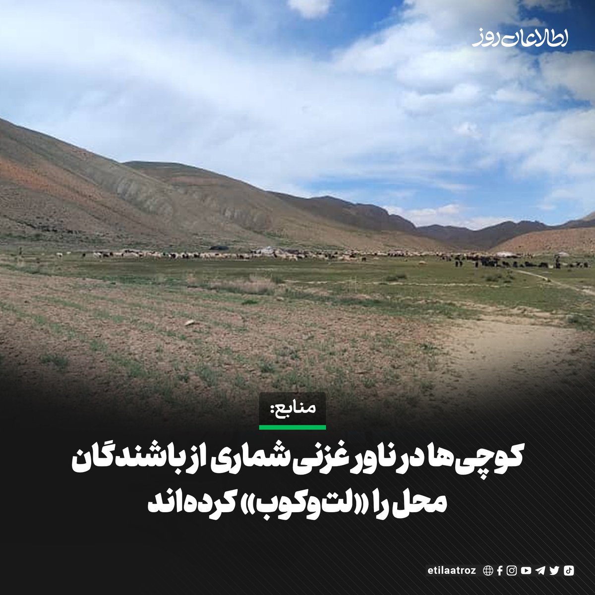 منابع در ولسوالی ناور غزنی از هجوم کوچی‌ها بر بخش‌هایی از این ولسوالی خبر می‌دهند و می‌گویند که مردان کوچی برخی از باشندگان محل را «لت‌وکوب» کرده‌اند.

به‌گفته‌ی منابع، کوچی‌ها در روستای «وصی محمد»، رمه‌های خود را بر علفچرها، مزارع للمی و آبی باشندگان این روستا رها کرده بودند و