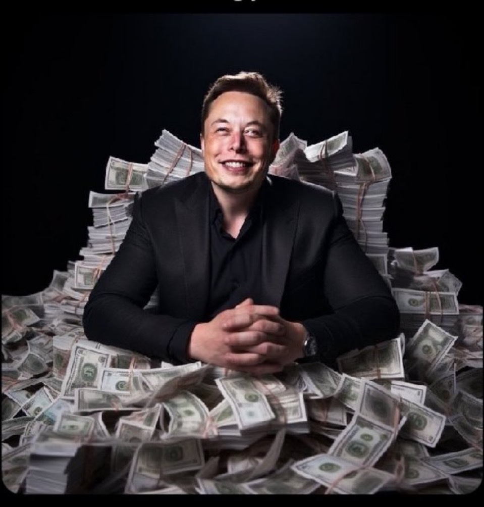 Not Elon Musk tweet media