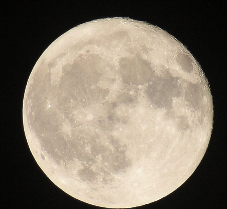 yasuhiro4153142's tweet image. 靄もとれて綺麗に見えました🌕️
#イマツキ
#フラワームーン🌕️