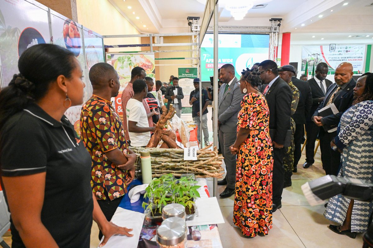 We were thrilled to welcome the Minister of Agriculture in Malawi, Hon. Sam Kawale, to our #IITA-#TAAT booth at the #AFAAS Africa-wide Extension Week! It was a great chance to showcase how we're working together to transform food systems in Africa. 

#TAATinMalawi
