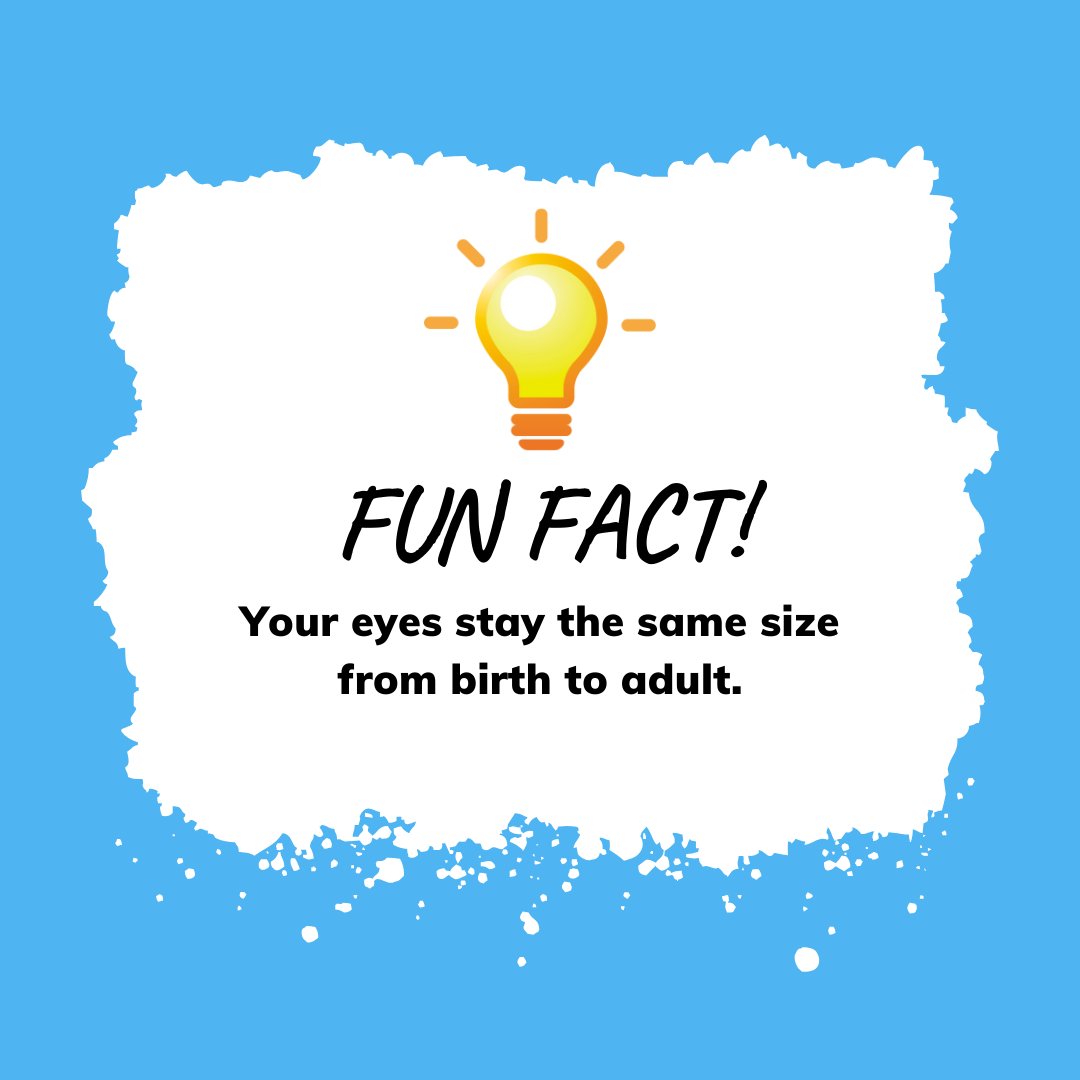 Msimbazieyes's tweet image. Your eyes stay the same size from birth to adulthood! 👀 So, no matter how much you grow, your eyes were always ready to take in the world. #EyeFacts #NeverStopSeeing #FunWithVision