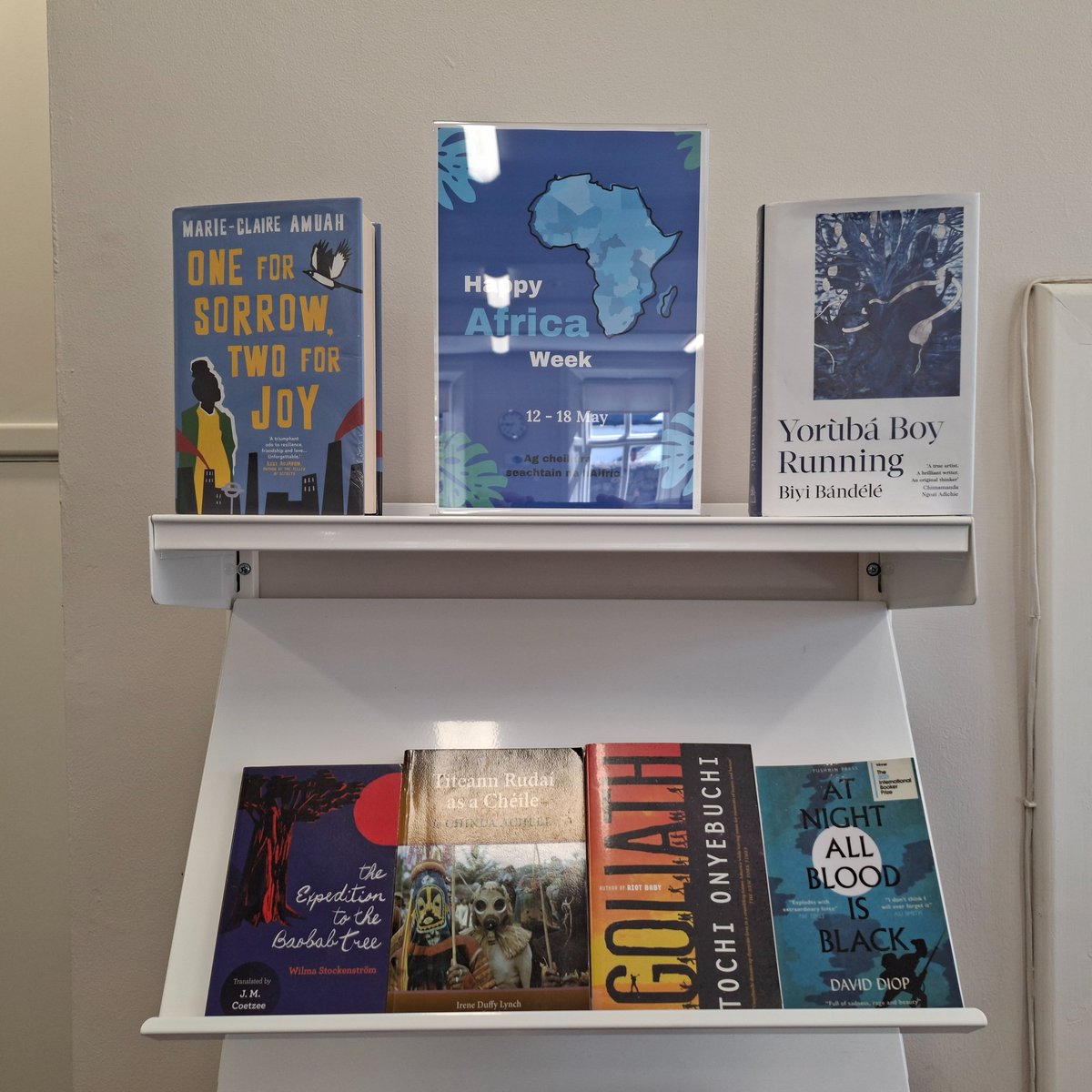 DLR_Libraries's tweet image. We&apos;re delighted to celebrate #AfricaWeek2025 in #DundrumLibrary. Drop in a borrow a book from our Africa Week display!

#dlrLibraries