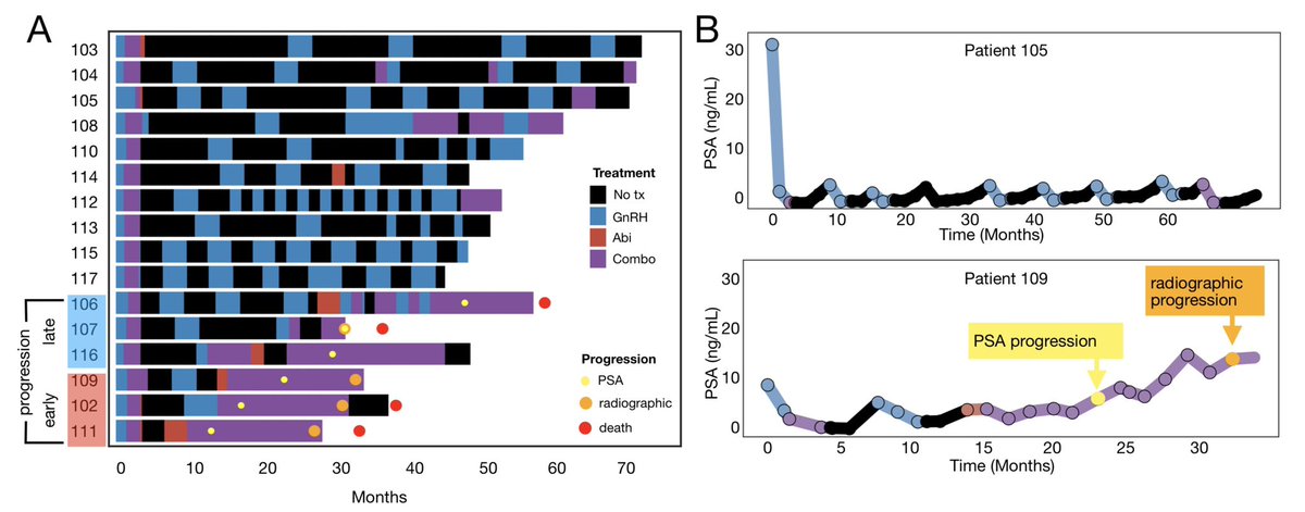 Excited to share our latest on <a href="/EvolTherapy/">Centre for Evolutionary Therapy</a> led by the brilliant <a href="/jillagal/">Jill Gallaher</a>:  PSA/testosterone ratio as a potential biomarker to identify early progressors of adaptive therapy in metastatic castration sensitive prostate cancer <a href="/MoffittNews/">Moffitt Cancer Center</a> Read it here:
medrxiv.org/content/10.110…