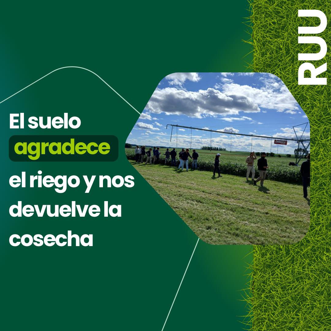 📢 Regadores Unidos del Uruguay – Defendiendo el Futuro del Riego 🌱💧

Desde 2013 RUU trabaja para fortalecer la actividad del riego en todo el país. 

Te invitamos a seguirnos en nuestro instagram: instagram.com/regadoresunido… para enterarte acerca de todo!