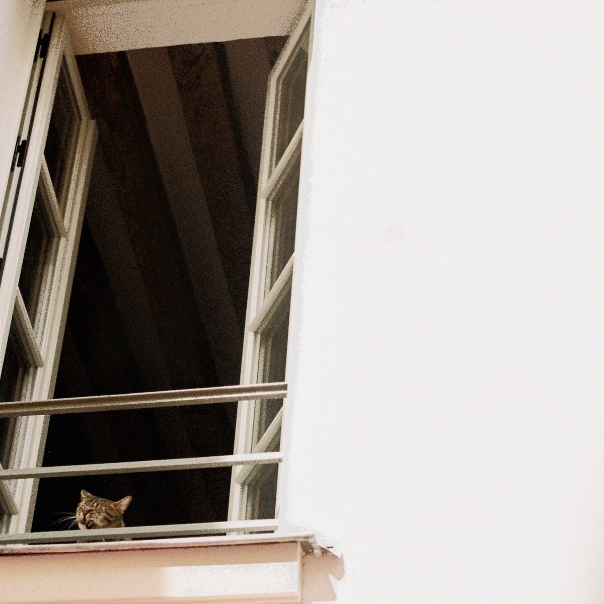 JUST IN! 'Something Soft' by M(h)aol

Angular post-punk and discordant noise rock from the Irish trio, delivered with intensity and urgency in its stark lyricism and driven rhythms.

normanrecords.com/records/208098…