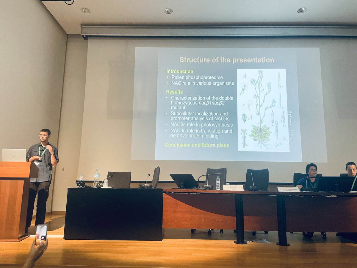 Jan Fila (Institute of Experimental Botany, Czech Academy of Sciences 🇨🇿): 🌱 Discovering the role of NAC beta subunit in Arabidopsis development. #arabidopsis #RECROP2025 #FoodSecurity #ClimateChange #RECROPCOST