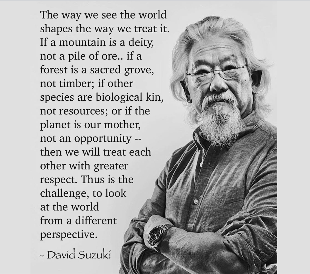 Roberta Staley (@robertastaley) on Twitter photo 