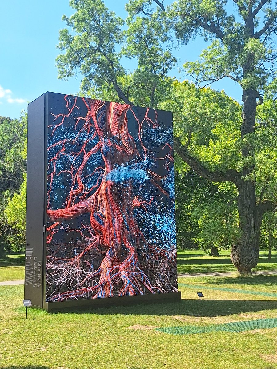 Carrie Brady (@drcarriebrady) on Twitter photo Mesmerising art installation 'Of the oak'. Incredibly fortunate to hear from the artist on how he came up with the concept! Thank you <a href="/ActionOak/">Action Oak</a> for arranging this π Mesmerising art installation 'Of the oak'. Incredibly fortunate to hear from the artist on how he came up with the concept! Thank you <a href="/ActionOak/">Action Oak</a> for arranging this π