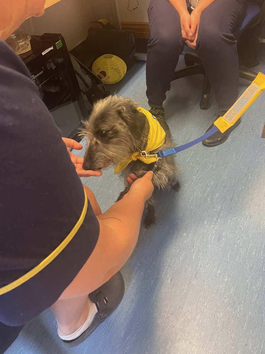 Aeysha Harley (@respiratoryuhp) on Twitter photo Kick starting our mental health awareness week on level 9οΈβ£ with some little visitors πΆ π <a href="/harrietsarahhh/">Harriet π« π©πΌββοΈ</a> <a href="/matron_mike/">mike</a> <a href="/Derriford_Hosp/">Derriford Hospital</a> <a href="/UHP_NHS/">University Hospitals Plymouth NHS Trust</a> β€οΈπ§ #MentalHealthAwarenessWeek Kick starting our mental health awareness week on level 9οΈβ£ with some little visitors πΆ π <a href="/harrietsarahhh/">Harriet π« π©πΌββοΈ</a> <a href="/matron_mike/">mike</a> <a href="/Derriford_Hosp/">Derriford Hospital</a> <a href="/UHP_NHS/">University Hospitals Plymouth NHS Trust</a> β€οΈπ§ #MentalHealthAwarenessWeek